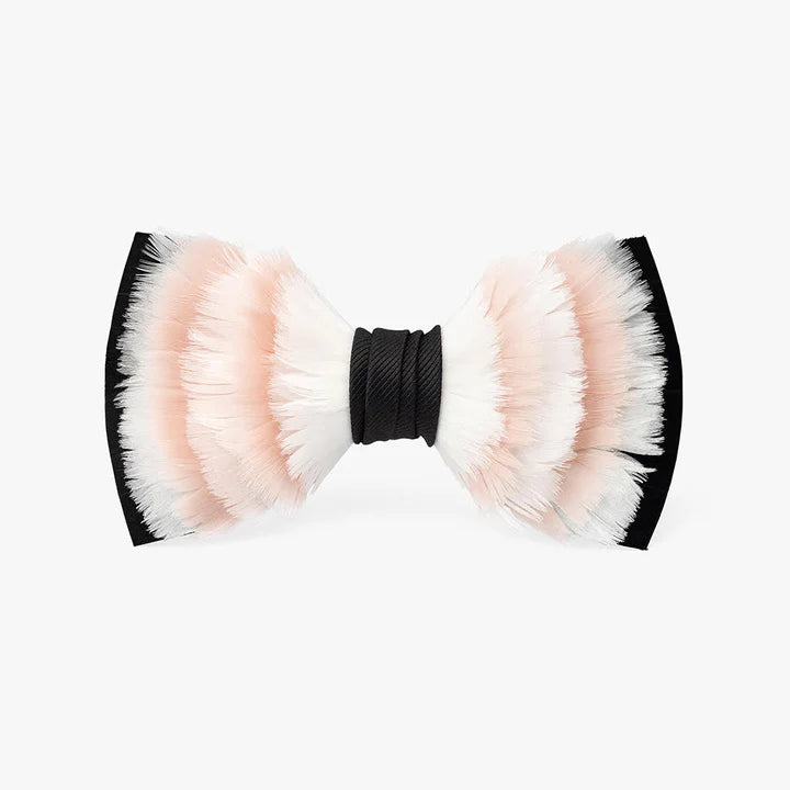 Mayaguana Bow Tie